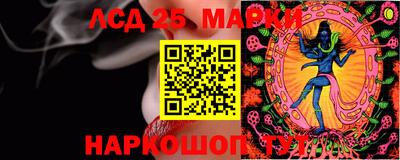 гидра Будённовск