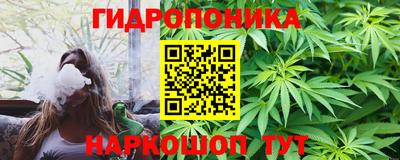гидра Будённовск