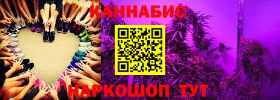 гидра Будённовск