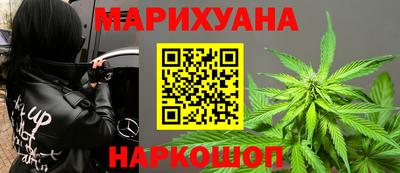 гидра Будённовск