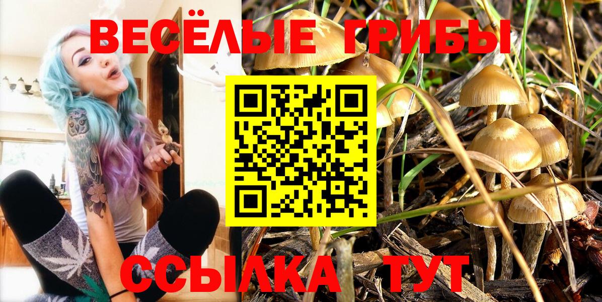 Великие Луки  Псилоцибиновые грибы ЛСД  Вход с VPN 