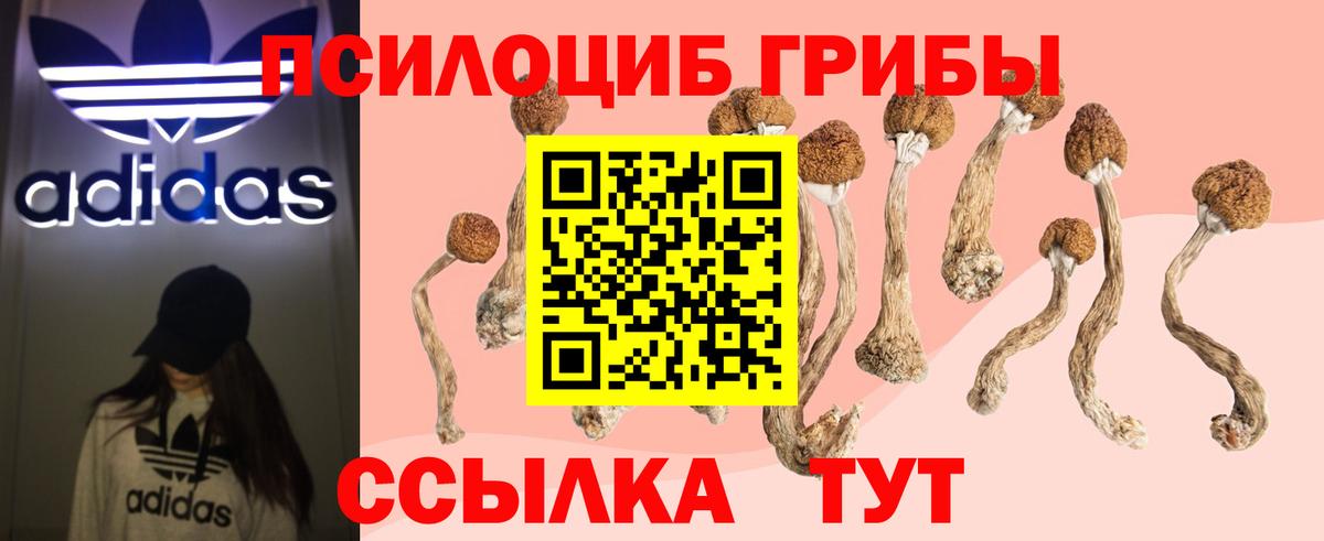 Псилоцибиновые грибы Magic Shrooms Великие Луки